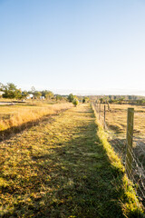 Early morning fence on the peach farm near Iluka & Yamba  in NSW Australia