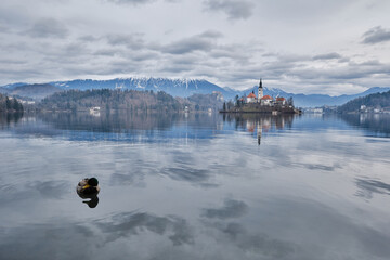 Lake bled in fog