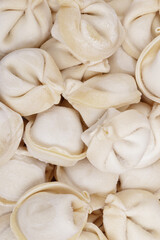 Frozen uncooked dumplings closeup. Macro shot.