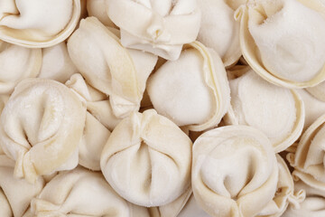 Frozen uncooked dumplings closeup. Macro shot.