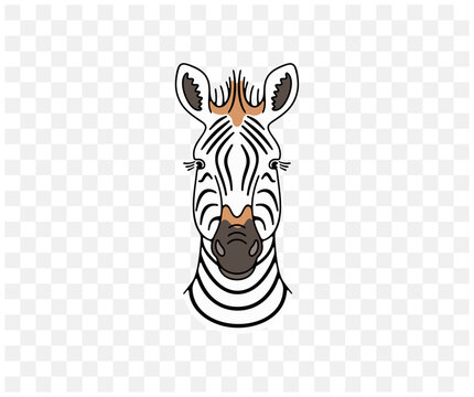 Zebra head, animals and african savannah, colored graphic design. Nature, wildlife, safari, zoo, wilderness and fauna, vector design and illustration