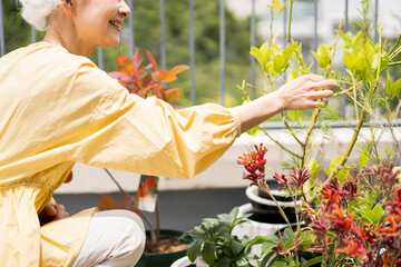 日本人シニア女性がベランダで植物を育てている - Powered by Adobe