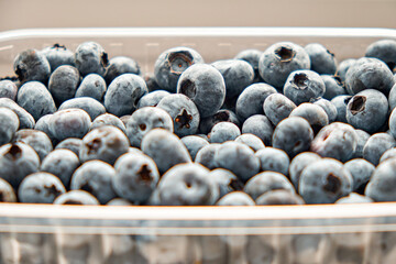 Lots of fresh large blueberries in a plastic container on a white background. Side view