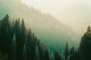 Naklejka premium Beautiful forest landscape