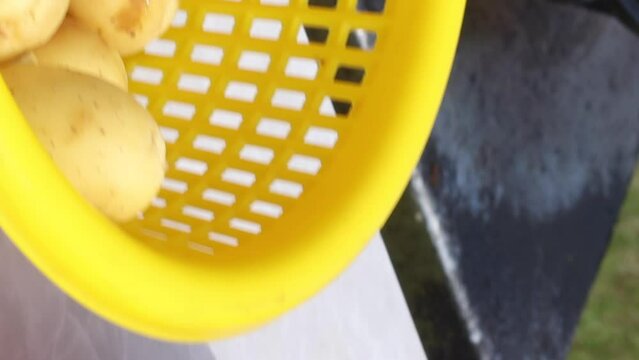 Chanterelles stewed with potatoes. The cook puts the potatoes in the boiling oil. Close-up. vertical video.