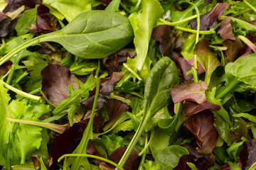 Fresh mix of salads with edible flowers. Top view.