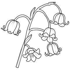 Cute hand drawn isolated black outline of lily of the valley branch (Vol.2)
