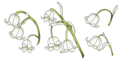 Cute Hand Drawn Isolated Grey