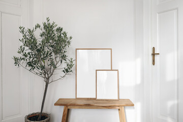 Rustic Scandinavian interior, Living room, hall in old house with wooden bench. Two picture frame mockups in sunlight. White wall, doors. Olive tree in basket. Summer Mediterrranean home design.