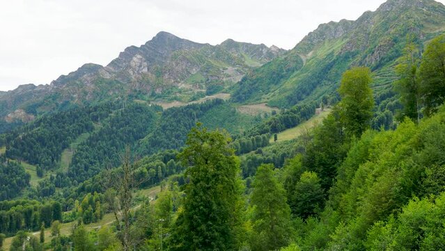 landscape of green mountains overgrown with forest sochi, rosa khutor