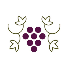 Grapes and leaves vector icon design. Wine logo design.