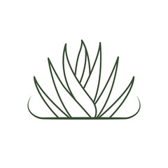 Aloe vera vector icon design. Herbal leaves organic logo.