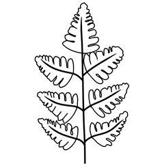 Branches With Leaves