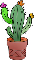 Plant with long, pointed leaves called Dracaena Marginata, Houseplant, green sprout in white pot. Plant for experiments and research isolated on white background. Potted plant for home decoration