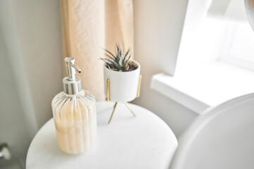 Eco friendly. Bottle of soap with dispenser places near assorted hygienic supplies on shelf in bathroom