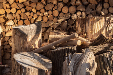 Thick stumps and chocks against the background of woodpile