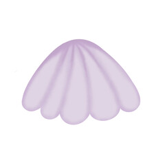 seashell 