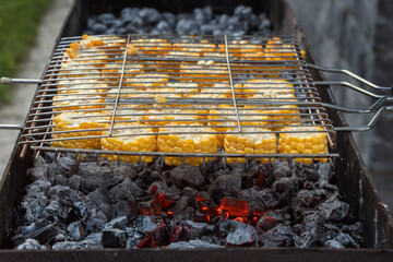 Corn cobs are cooked in a grill on coals in an open grill. Grill, barbecue, picnic