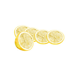 Set of flying cut fresh juicy lemon 