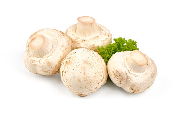 Champignons, close-up, isolated on white background.