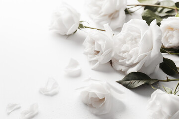 Obraz na płótnie Canvas background rose flower beautiful wedding white spring floral blossom nature celebration. Generative AI.