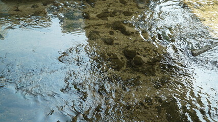 Shallow creek water surface