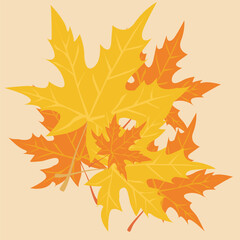autumn, fallen leaves. autumn leaves, leaf fall