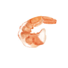 Cooked shrimp with full shell isolated