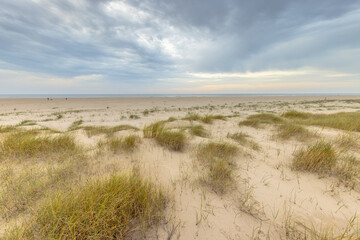Outlook over Coastal Dunes at North Sea