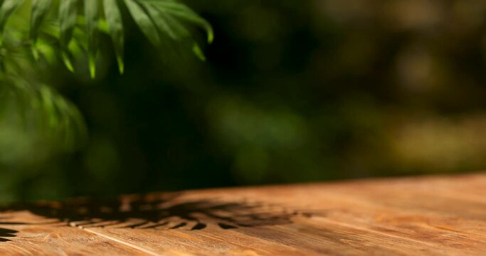Mockup wooden table outdoor in summer, a branch of a palm tree in the wind