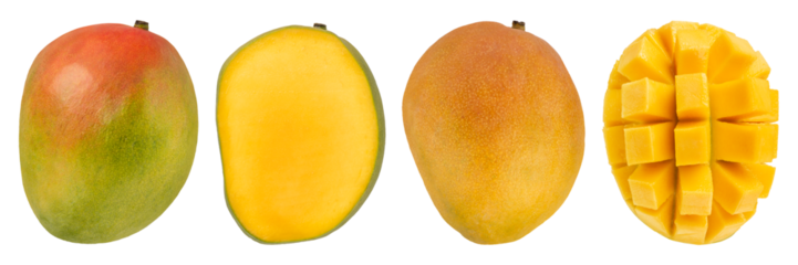 Set with sweet ripe mangoes on white background. Banner design