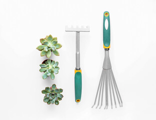 Gardening tools and succulent plants isolated on white background