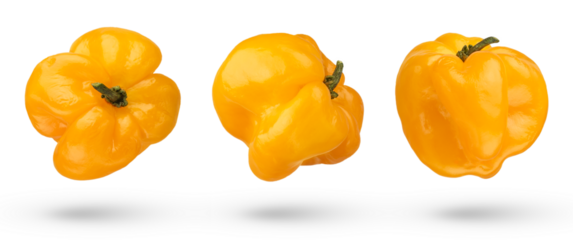Whole habanero peppers. Yellow peppers on a white isolated background. Habanero peppers hanging or falling close up.