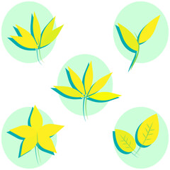 Fototapeta na wymiar Yellow leaves autumn fall icon set isolated on white background. Simple leaves of trees and plants. For eco and bio logos. Flat vector illustration