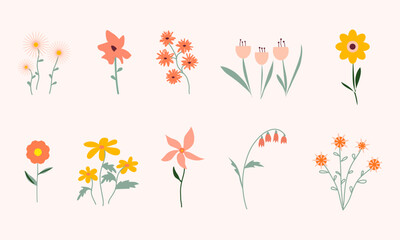 Floral collection. Set of different flowers isolated. Floral bouquet, flower compositions. Set of floral branch. Spring vector flowers.