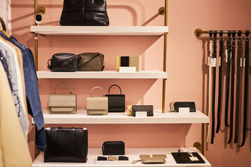 Background image of designer bags and purses on shelf in clothing boutique, copy space