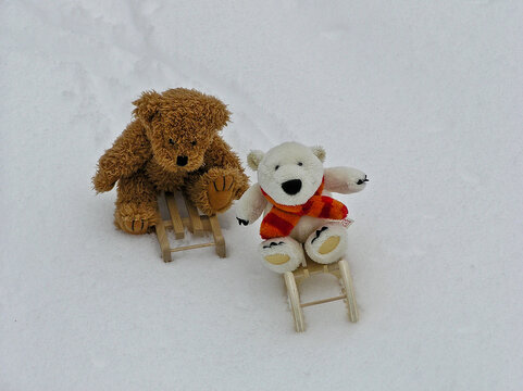 Winter with the Bears