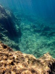 Naklejka na ściany i meble Vista subacquea del fondale marino con rocce e alghe