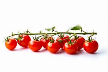 Row of tomatoes on vine with green leaves on white background.