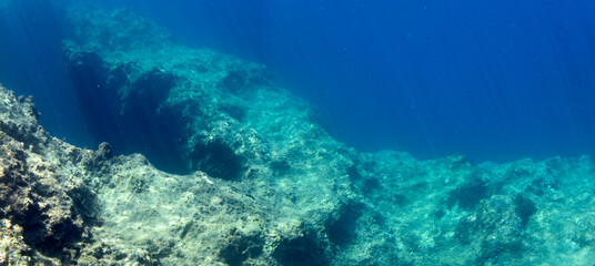 Naklejka na ściany i meble Vista subacquea del mare del Plemmirio 85c88