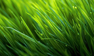 Stof per meter Gras Fresh lush green grass on meadow with drops of water dew. Close-up macro. Generative AI tools