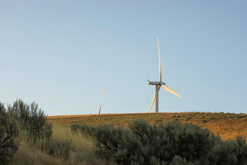 Wind turbine farm in Eastern Washington south of the Tri-Cities Columbia Basin region