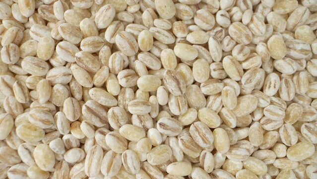 Barley is a highly nutritious grain. It is an excellent source of complex carbohydrates, dietary fiber, and essential minerals like manganese, selenium, phosphorus, and magnesium. Barley background

