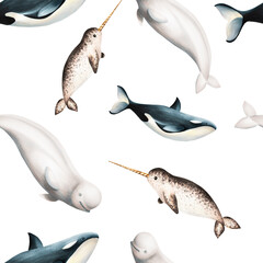 Watercolor seamless pattern with beluga, killer whale and narwhal isolated on white background. Hand painting realistic Arctic and Antarctic ocean mammals. For designers, decoration, postcards, w