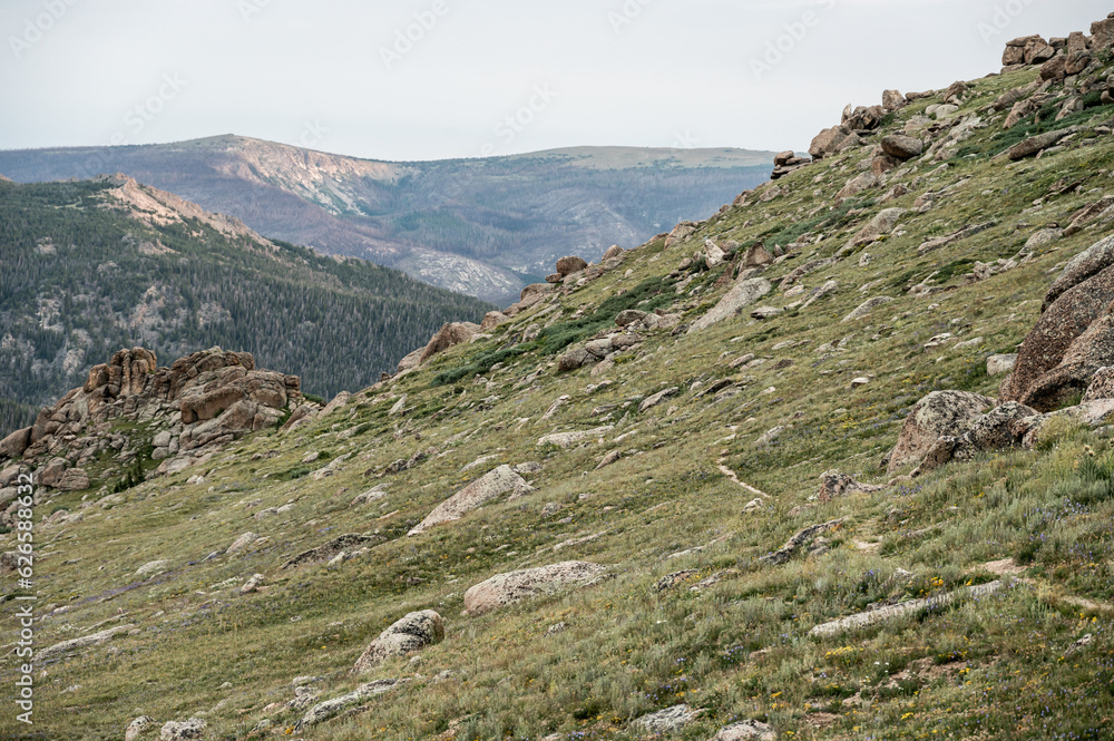 Poster Stormy Peaks Trail Ribbons Along Tundra Hillside