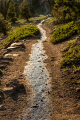 Stream Of Water Flows Down The Trail To Garfield Peak In Crater Lake