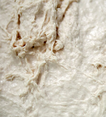 freshly kneaded dough in a basin, close-up freshly fermented dough,