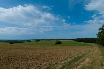 Fototapeta na wymiar hungarien landscape with hay bales