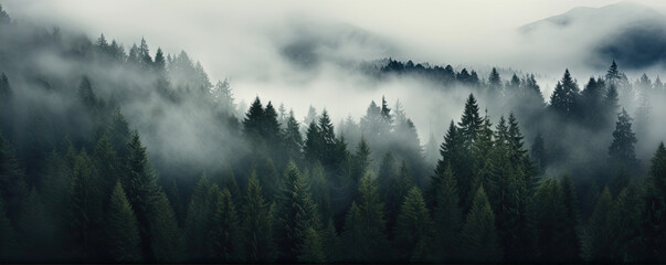 Obraz na płótnie Canvas Misty foggy mountain with green forest and copyspace for your text.