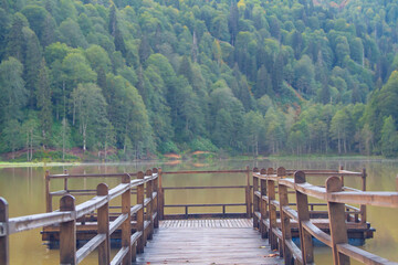 Landscape view of Karagol (Black lake) a popular destination for tourists,locals,campers and travelers in Eastern Black Sea,Savsat, Artvin, Turkey